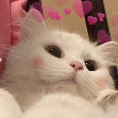 I'm CinnamonRolly I'm Roblox Builder | For Hire | Floppa is God:) | Cinnamon:)