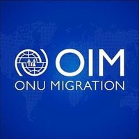 IOM Haiti(@IOMHaiti) 's Twitter Profile Photo