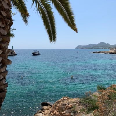 trader_lego's profile picture. 