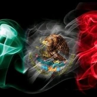 EdgarFr40675042's profile picture. "pragmatico"