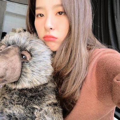 GA Hunter ! akun @ichanbigwins @kecvpan suspend (not multi acc)
﹆ׂׂ ˖ please don't reroll me thanks!