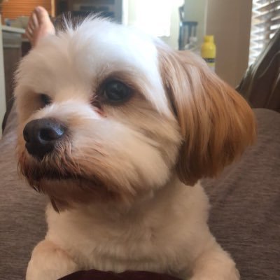 astUGHfir's profile picture. '93| She/Her |🔞