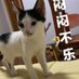 Nayna (@mydulis40079490) Twitter profile photo Nayna (@mydulis40079490) Twitter profile photo