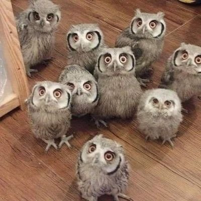 MSimpara1's profile picture. 