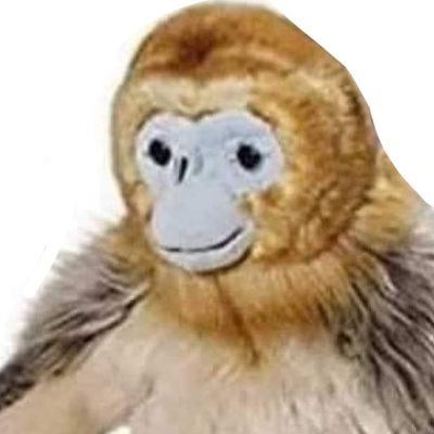 CriptomemesV2's profile picture. 