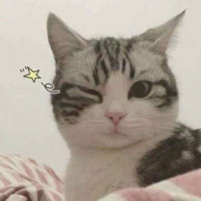 Mostázaさんのプロフィール画像