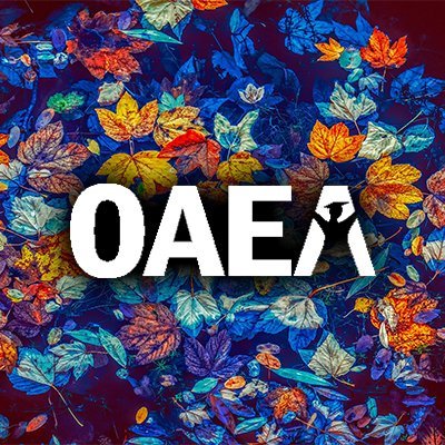 OklaAEA's profile picture. The Oklahoma Aspiring Educators Association is a group of future #oklaed teachers and education professionals.