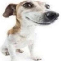 reese (@tseweseer) 's Twitter Profile Photo reese (@tseweseer) 's Twitter Profile Photo