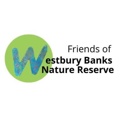 The Westbury Banks Nature Reserve; a Noel Park Big Local initiative managed by the FoWBNR #NationalParkCity #GrowN22