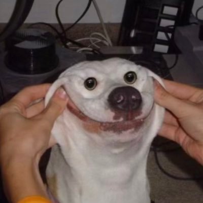 not_JBDestroyer's profile picture. 19 almost always horny