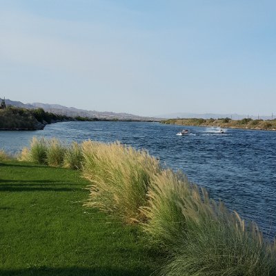 BERNADE90319326's profile picture. 