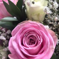 BloomcartColwall(@bloomcartcolwal) 's Twitter Profile Photo