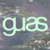 GUAS (@guartas) Twitter profile photo GUAS (@guartas) Twitter profile photo