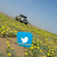 ابوطلال (@abo_talall1) 's Twitter Profile