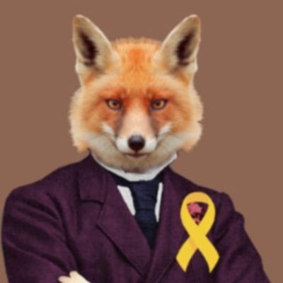 RaposoCatolico's profile picture. 