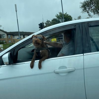 Biolgurl's profile picture. 