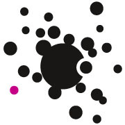 SievertDruck's profile picture. 