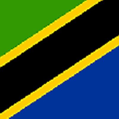 Forever stand with my country tanzania