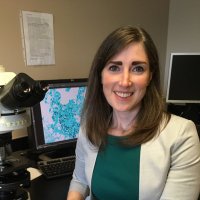 Kelly Shepardson (@kellyshepardson) 's Twitter Profile
