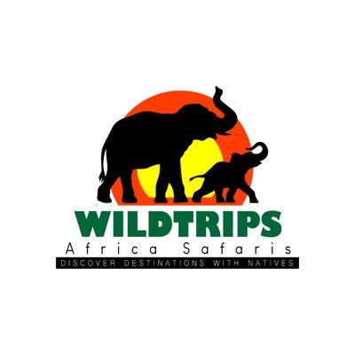 We are a Ugandan based tour company arranging amazing Gorilla and Chimpanzee Tracking, Birding, Wildlife and Cultural Safaris to all National Parks.