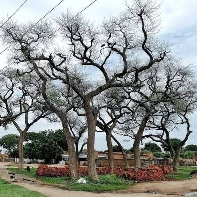 beardedhunter9's profile picture. 