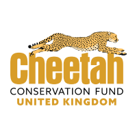 Cheetah Conservation Fund UK(@CCFCheetahUK) 's Twitter Profile Photo