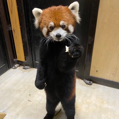 fukutaku4's profile picture. 