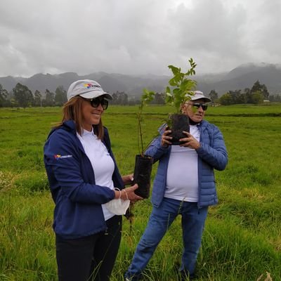 Siembra de árboles Colombia