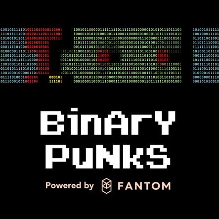 The whole Crypto Punks collection manually converted one by one into Binary form. https://t.co/U0jZceU4yP