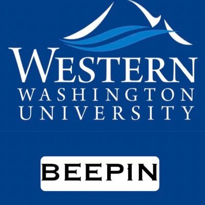 For the people who ask what’s beepin at WWU