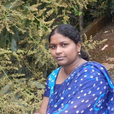 KASujana's profile picture. 