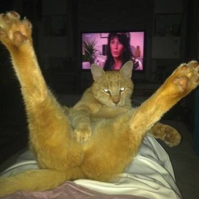 ozpAThd1qkASGIT's profile picture. 