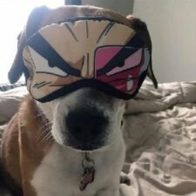 chubba27's profile picture. I try to make people laugh.