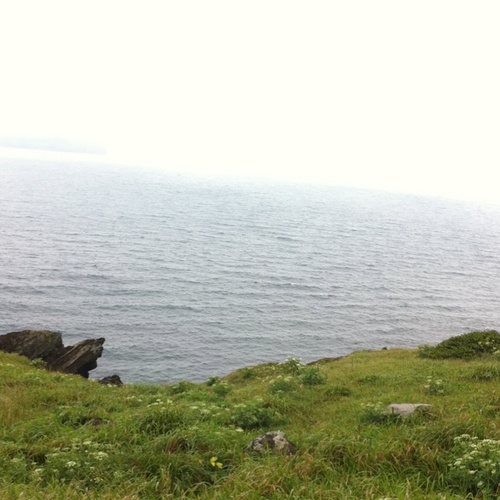 willee331's profile picture. 우리 서로 다같이 친하게 지냅시다~~
유익한정보도 공유하고, 세상사는 얘기도 하면서~~~ ㅎㅎ