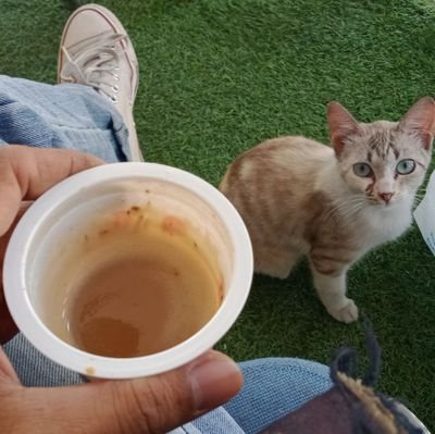 Iwan Bさんのプロフィール画像
