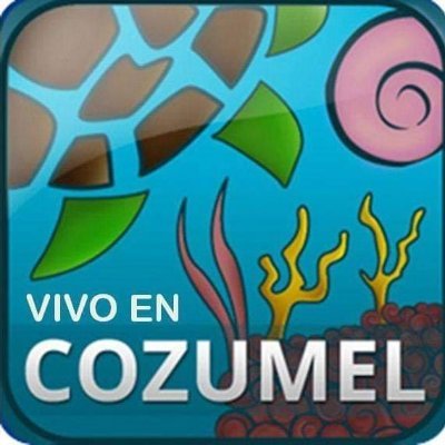 Equipo VivoEnMX, información local y de interés, el timeline se alimenta de la comunidad y de otros medios de comunicación. 14 años online. publicidad@vivoen.mx