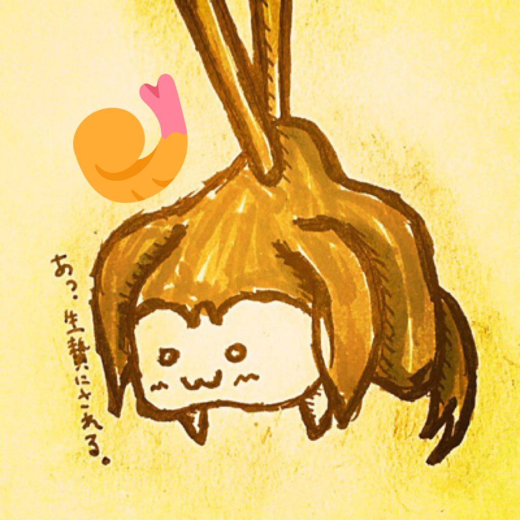 あけてよ (੭ ᐕ)੭㌨㌥🐬さんのプロフィール画像