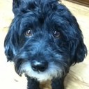 Jennifer Kaster - @kasterjen - Twitter