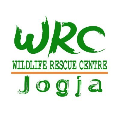 Official account of Wildlife Rescue Centre Jogja ~ Non-profit Org working towards the conservation of Indonesia protected wildlife.
🔗 https://t.co/th1VunzBLM