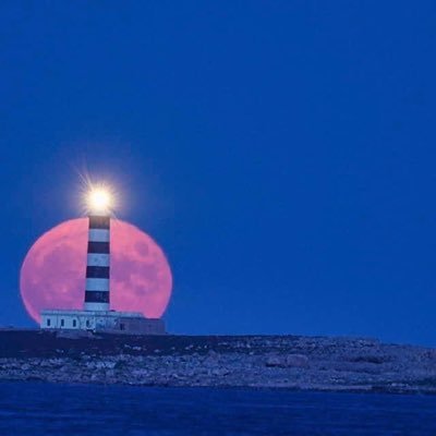 Iola84158334's profile picture. 