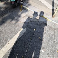 广西玉林夫妻茂密小森林 (@tn72_i) 's Twitter Profile