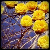 Lollisal's profile picture. 