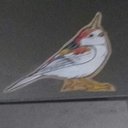 Virginia Pearson - @Virgini57394120 - Twitter