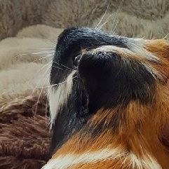 JMnqcOfAQn3GBtL's profile picture. 