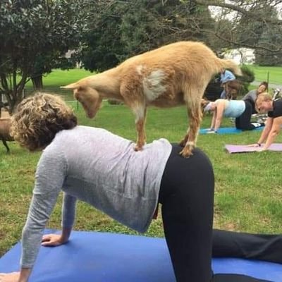 Lynn_justLynn's profile picture. Content writer, former journo, and Mom Who Makes the Best Meatloaf (or so it's been said).