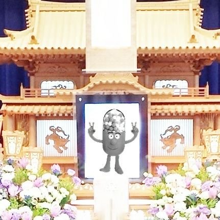 (≡・x・≡)さんのプロフィール画像