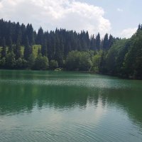 kurttermal (@kurtermal) Twitter profile photo