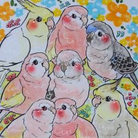 Kiss beak(@BeakKiss) 's Twitter Profile Photo