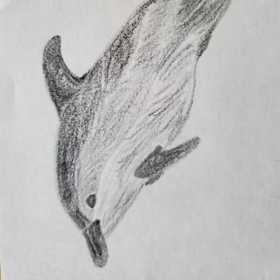 9ACKmgdFNSoC7ak's profile picture. しろうとのおっさんです