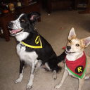 David Nolte - @we3kangs - Twitter